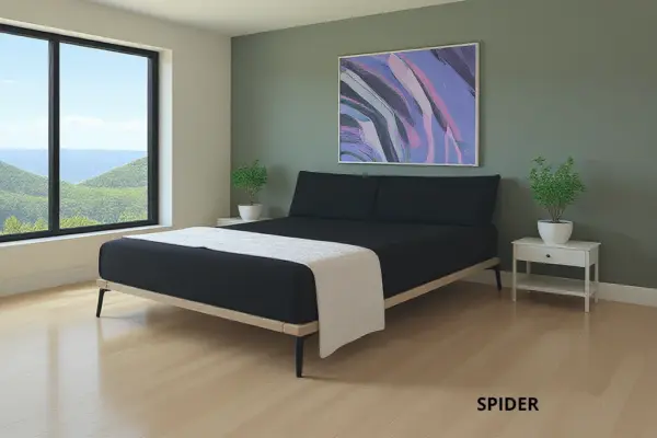 מיטת בסיס SPIDER