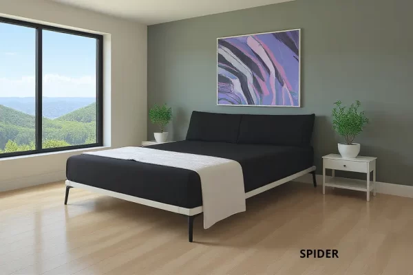 מיטת בסיס SPIDER